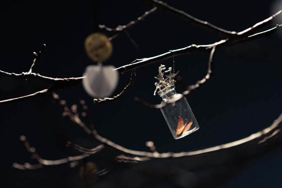 66963E3A-52B4-470E-8AAB-320095E8C87A