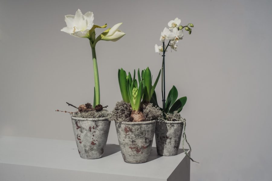 98CF7EC2-3D7A-4CFE-ADD3-61D64E6C4418