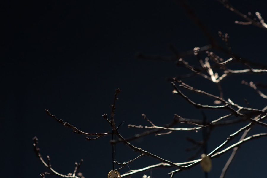 CD6173FA-B419-4CFB-95B7-C4920917AD79