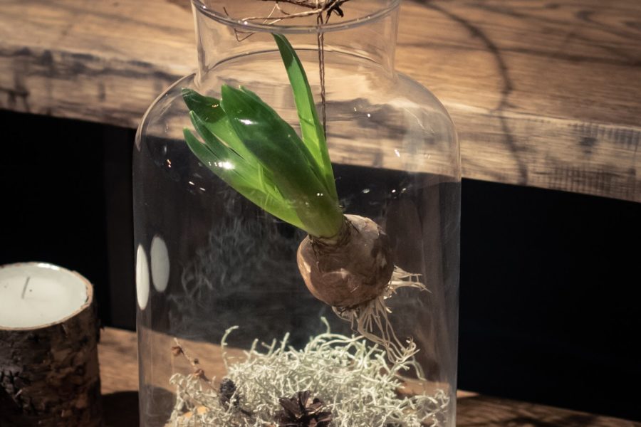 F7B04A50-64AC-443E-B3FF-81FE87D389F8