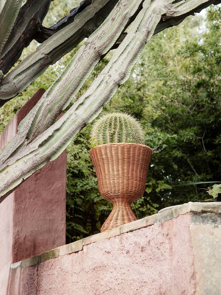 . Изображение 3