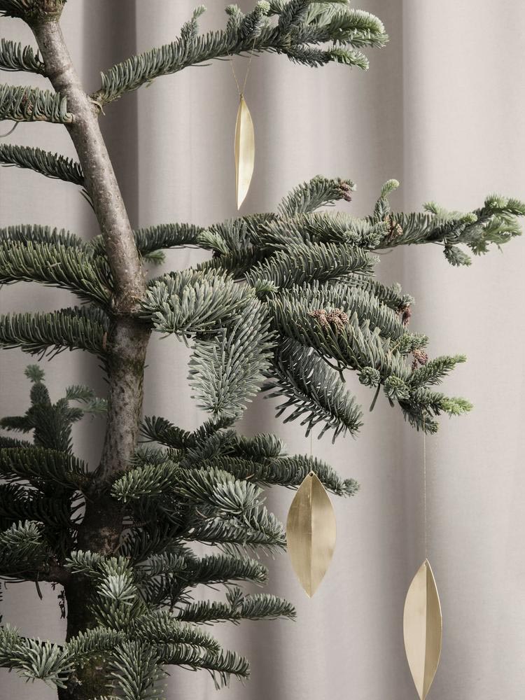 . Изображение 3