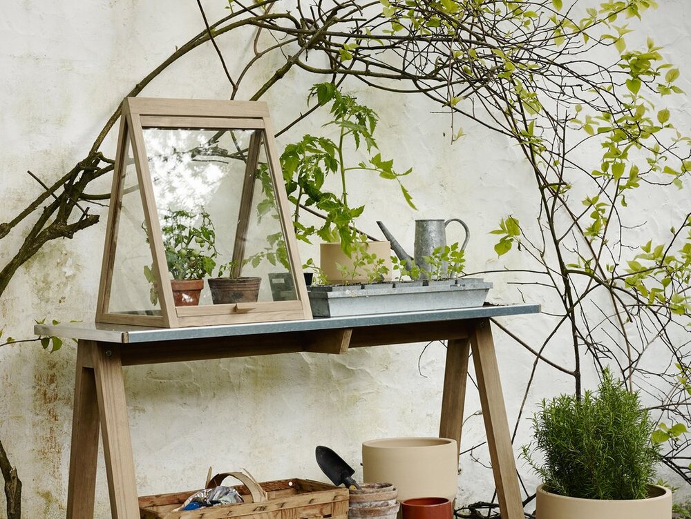 . Изображение 4