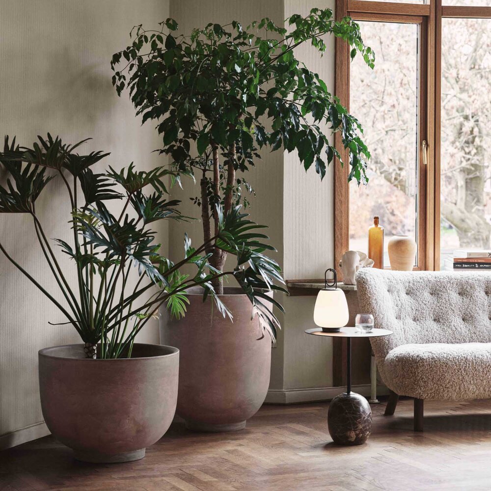 . Изображение 5