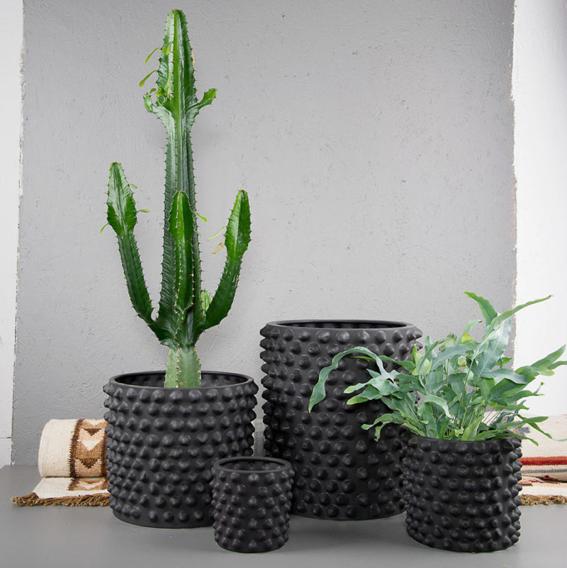 . Изображение 2