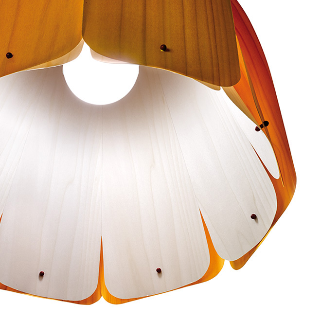 . Изображение 2