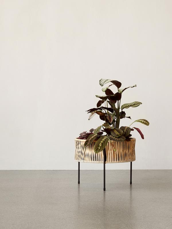 . Изображение 3