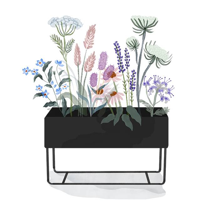 . Изображение 2