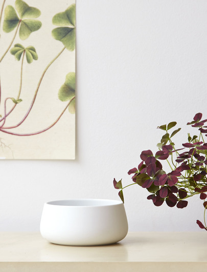 . Изображение 2