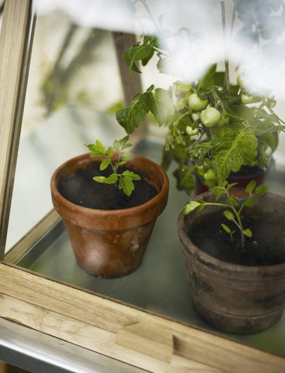 . Изображение 2